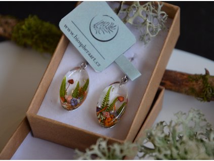 Oválné náušnice s houbičkami