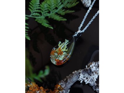 Lišejníková kapka