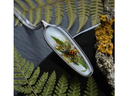 475837985 1021127473391354 6820166039312383066 n