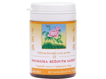 prechadzka ruzovym sadom