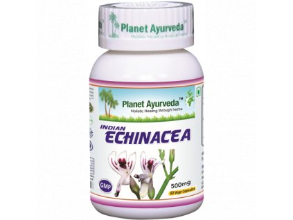 indian echinacea planet ayurveda