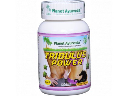 tribulus power planet ayurveda