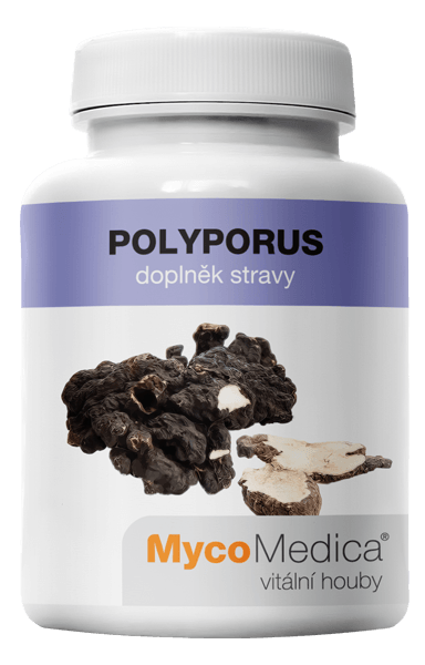 POLYPORUS MycoMedica Objem: 1 ks