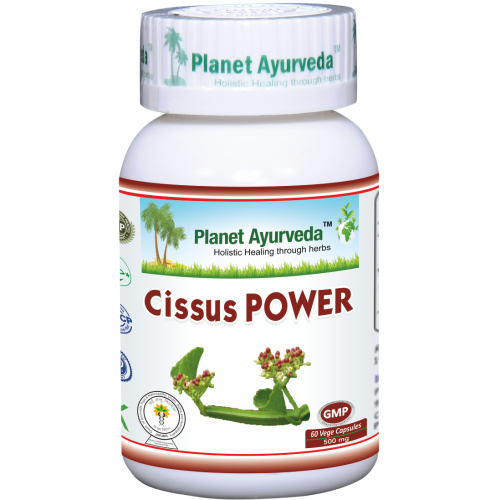 Cissus power kapsuly Planet Ayurveda 60 ks Obsah: 60 kapsúl