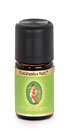 Éterický olej Eukalyptus radiata BIO - Primavera Objem: 5 ml