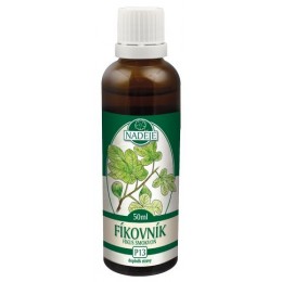 Naděje Figovník - tinktúra z púčikov P13 Objem: 50 ml
