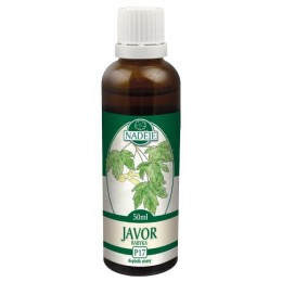 Naděje Javor poľný - tinktúra z púčikov P17 Objem: 50 ml