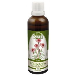 Naděje Echinacea - tinktúra z bylín T7 Objem: 50 ml