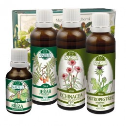 Kúra K11A Podpora cievneho systému, kŕčové žily a hemoroidy - Naděje Objem: 175 ml