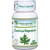 carica papaya planet ayurveda