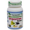 digestion power planet ayurveda