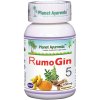 rumogin kapsule planet ayurveda