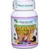 tribulus power planet ayurveda