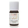 litsea cubeba etericky olej hanus