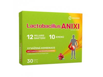 Anixi lactobacillus