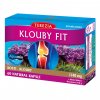 Terezia KLOUBY FIT 60 kapslí