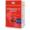 GS Vitamin C500 se šípky tbl.100+20