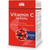 GS GS Vitamin C 1000 se šípky, 100+20 tablet