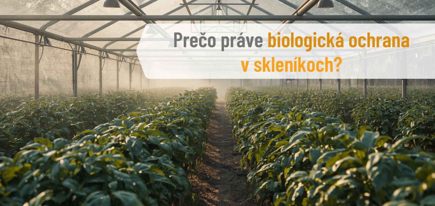 🌿 Prečo práve biologická ochrana v skleníkoch?