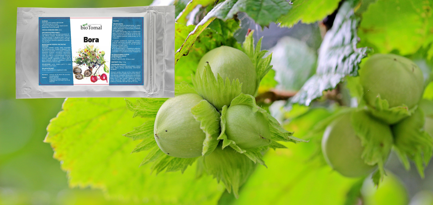 Február -Jarný postrek pod liesku