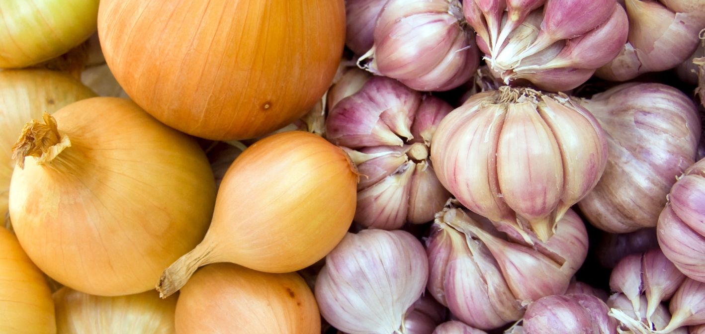 Cibuľoviny pod ochranou, škodcovia na úteku