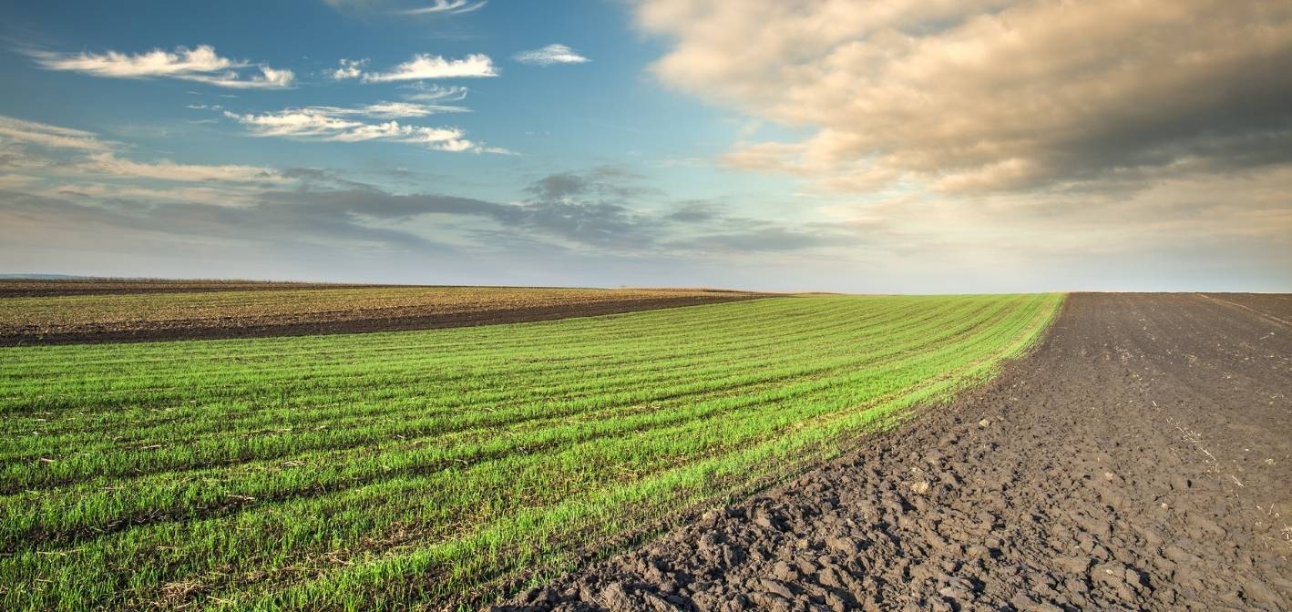 Marec – príprava pôdy pred sadením