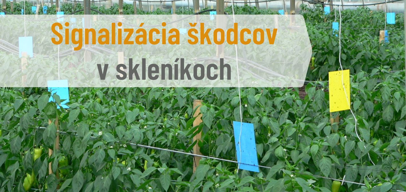 🛡️ Základ biologickej ochrany: signalizácia škodcov v skleníkoch