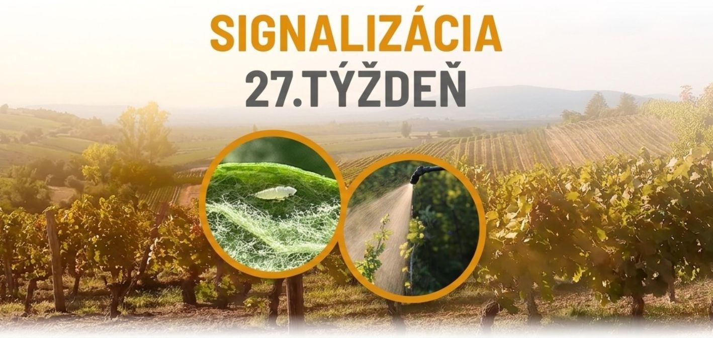 Signalizácia vinič – 27. týždeň