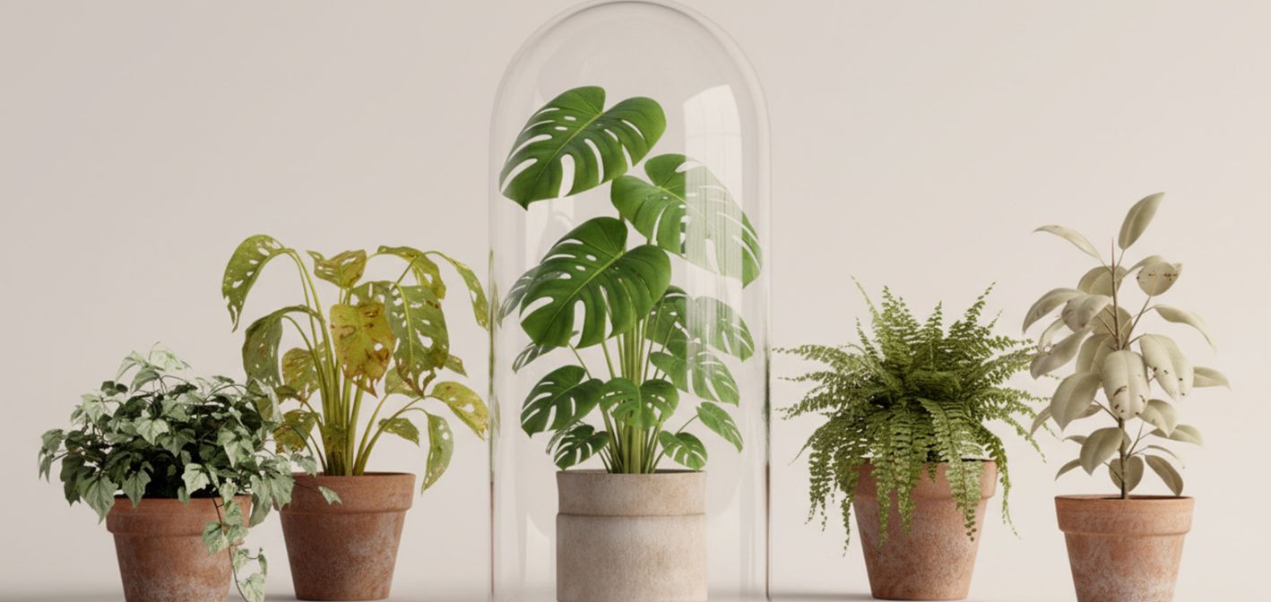 Ako identifikovať a kontrolovať škodcov izbových rastlín – praktický sprievodca