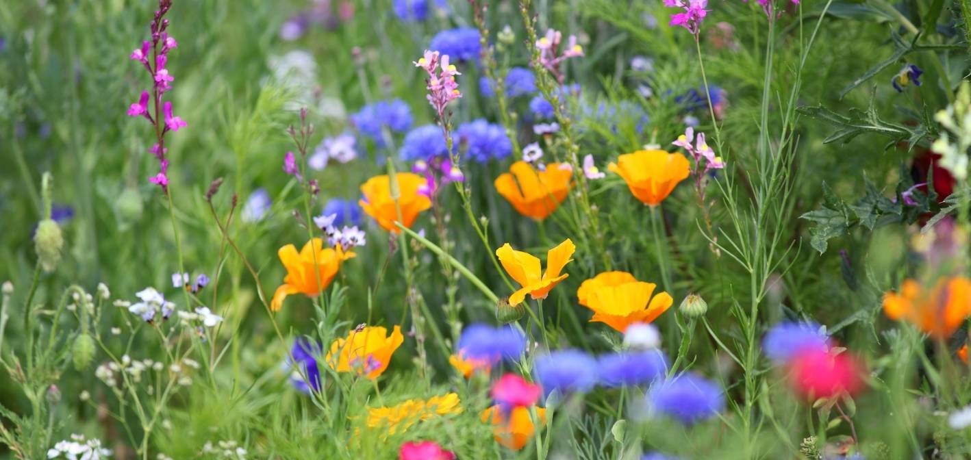 Správne načasovanie prác