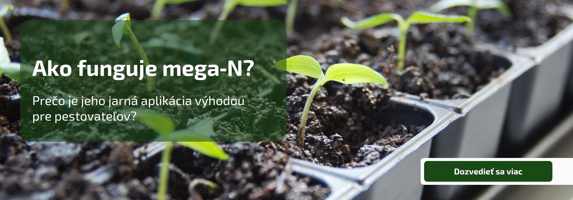 prečo je jeho jarná aplikácia výhodou pre pestovateľov