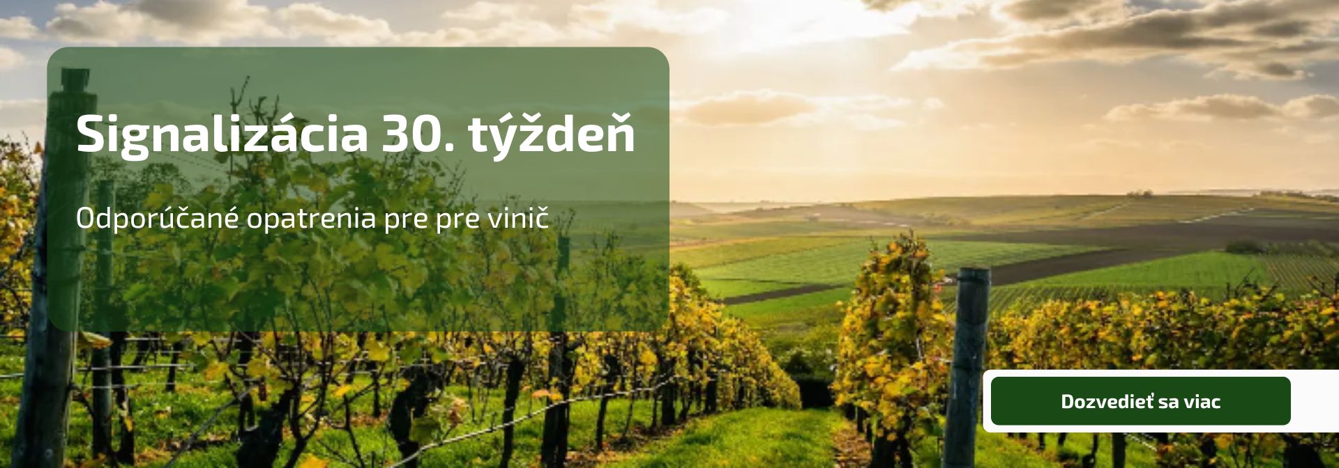 Signalizácia - 30. týždeň