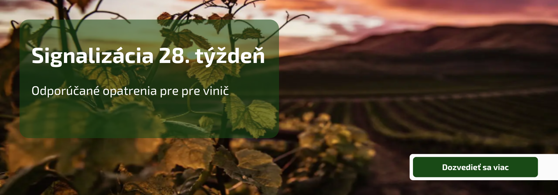 Signalizácia - 28. týždeň