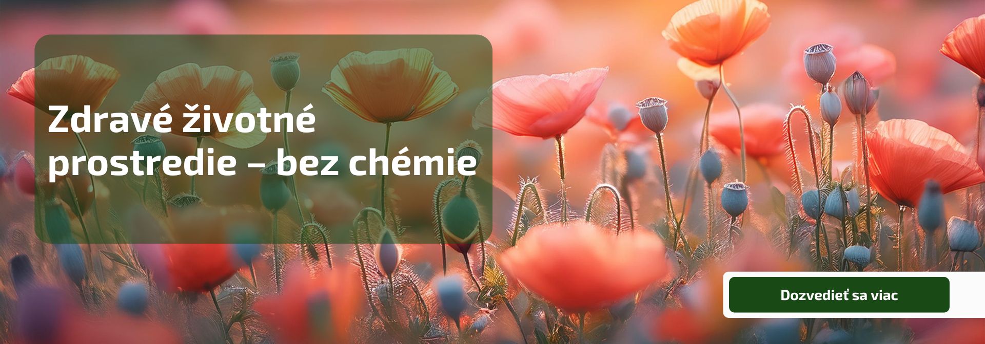 Zdravé životné prostredie – bez chémie