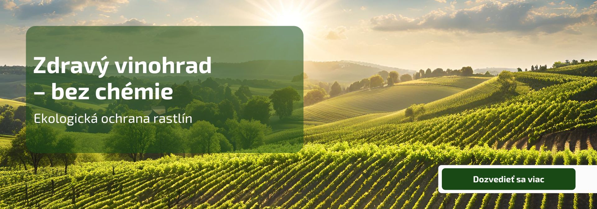 Zdravý vinohrad – bez chémie