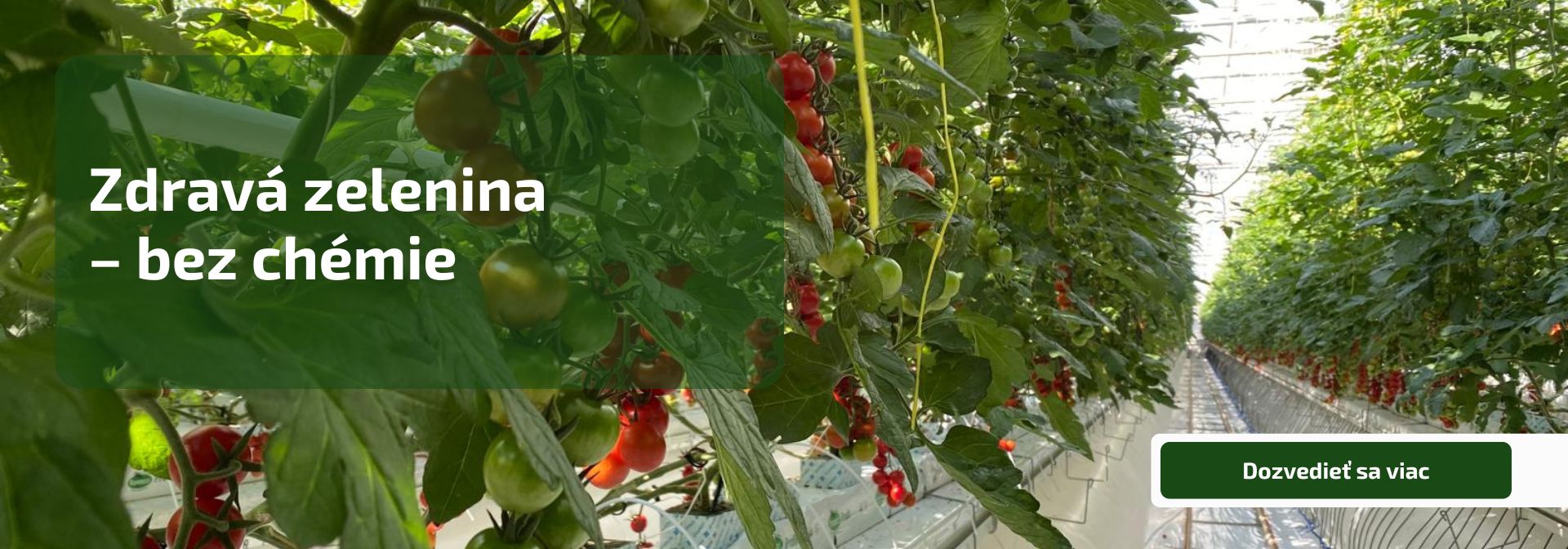 Zdravá zelenina  – bez chémie