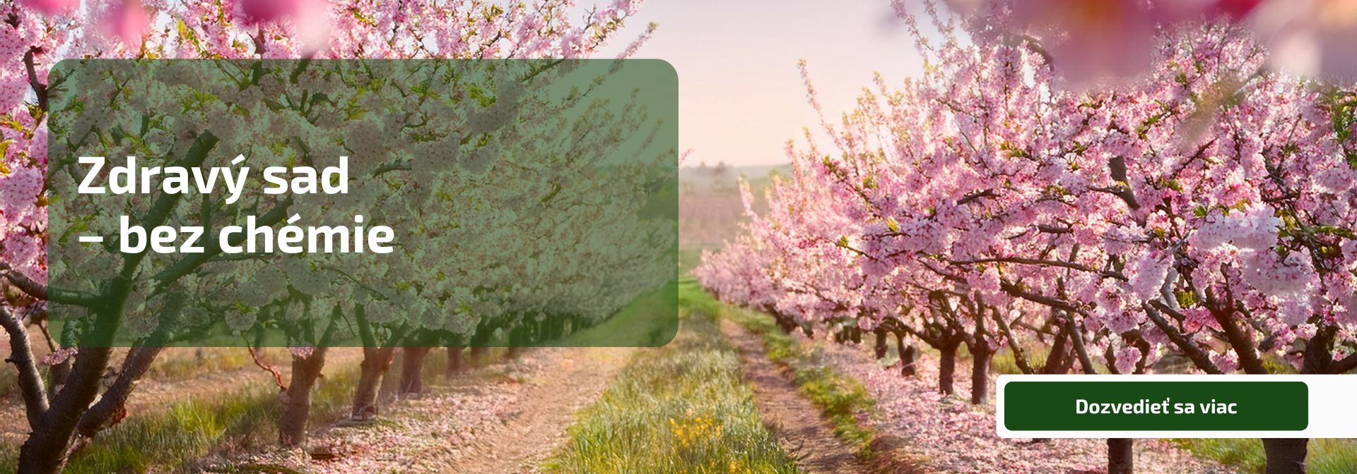 Zdravý sad – bez chémie