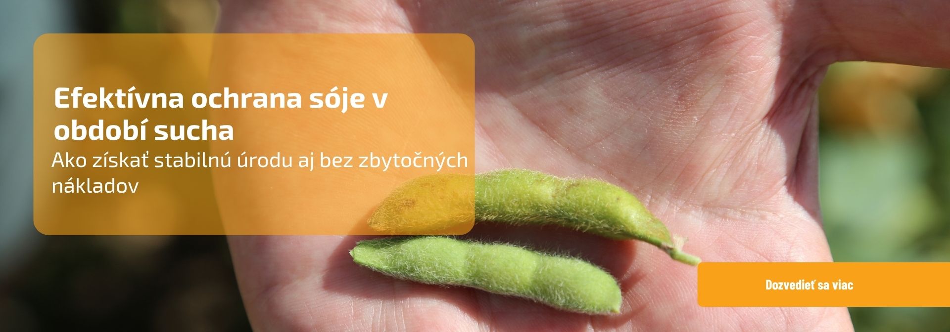 Efektívna ochrana sóje v období sucha
