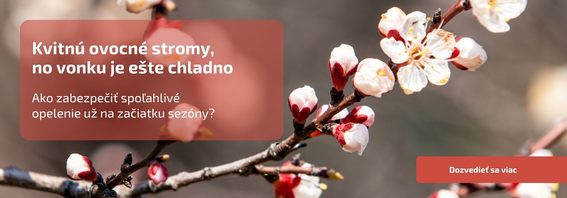 Ako zabezpečiť spoľahlivé opelenie už na začiatku sezóny?