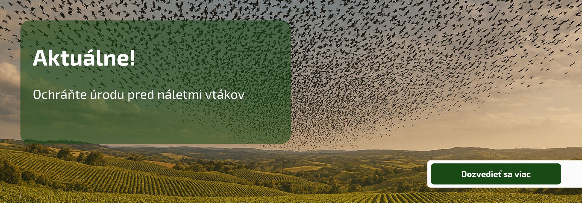Ochráňte úrodu pred náletmi vtákov