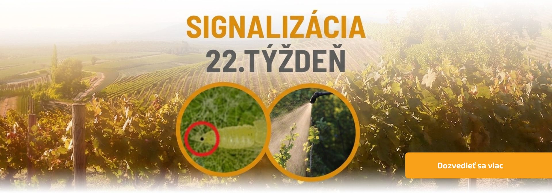 Signalizácia