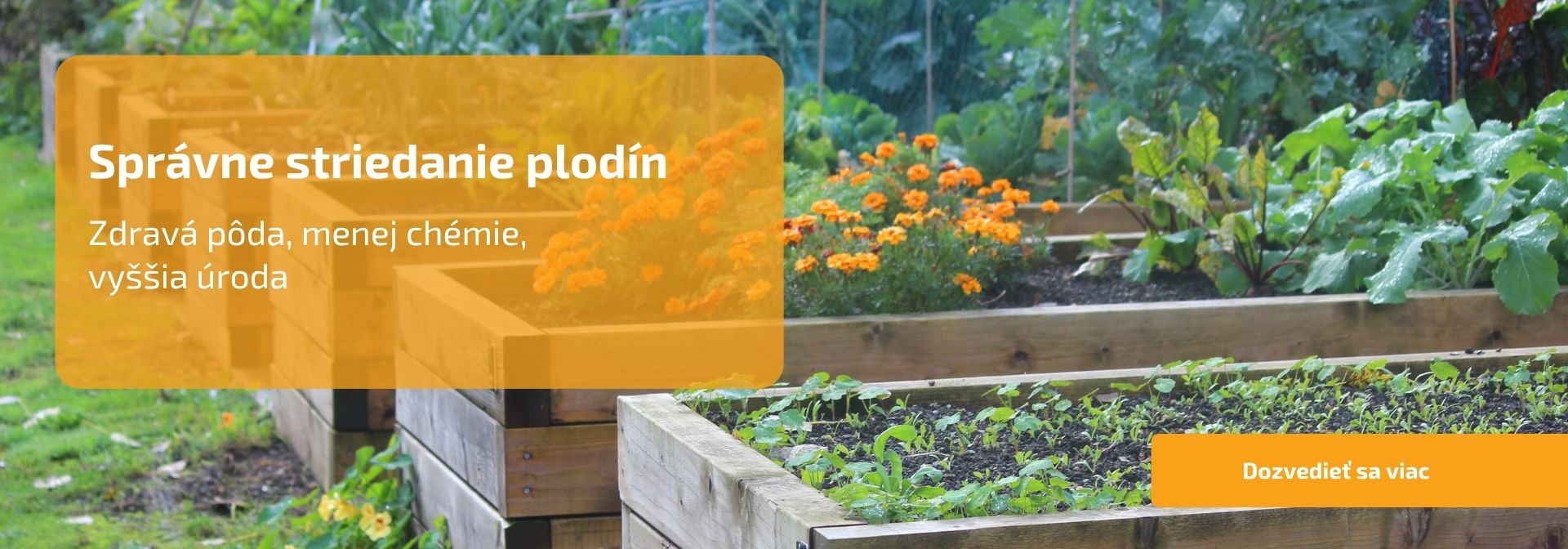 Správne striedanie plodín: zdravá pôda, menej chémie, vyššia úroda