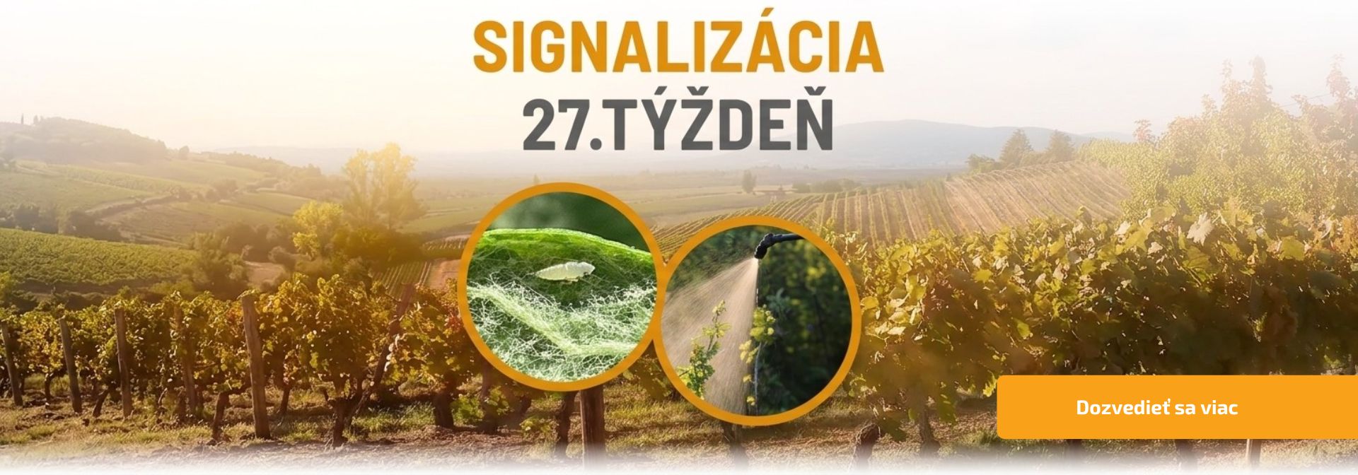 Signalizácia