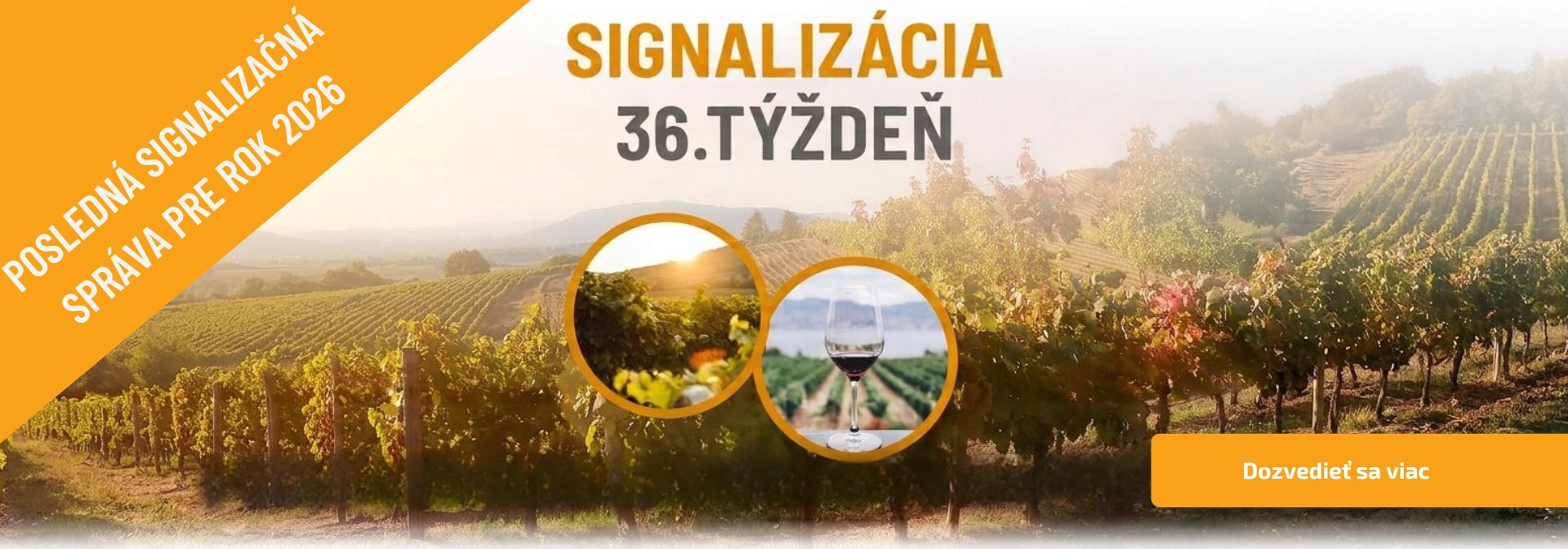 Signalizácia
