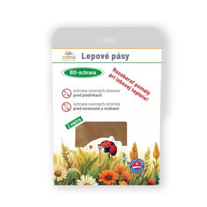 Lepove pasy