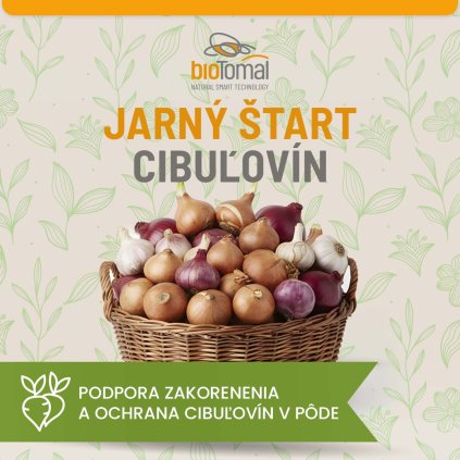 Cibuľoviny bez strát 1200x1200 copy