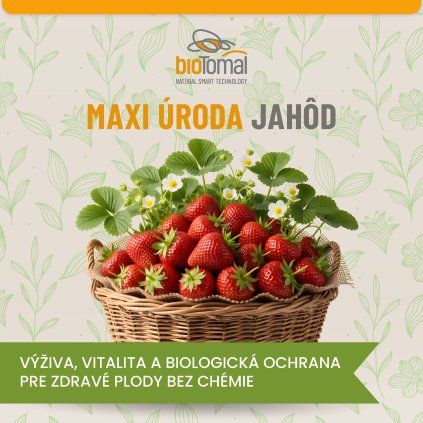 balicky Maxi úroda jahôd 1200x1200