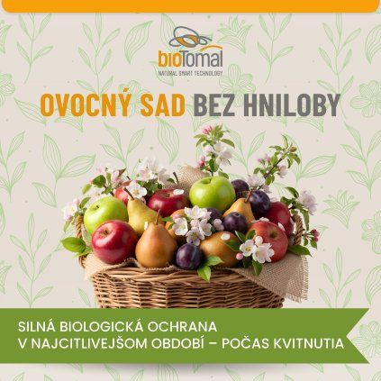 Ovocný sad bez hniloby