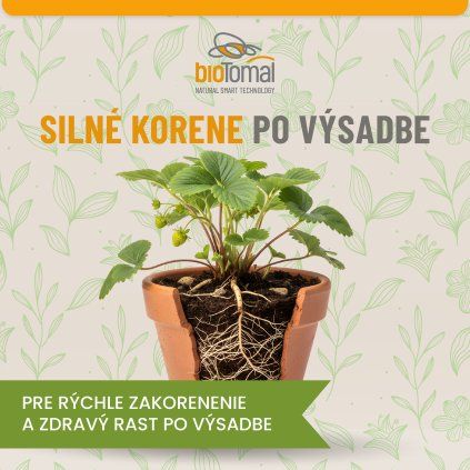 balicky 2 Silné korene po výsadbe 1200x1200