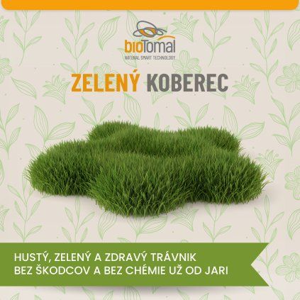 Zelený koberec XL